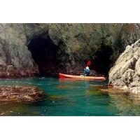 Private Tour: 3-Day Snorkeling and Kayaking Adventure from Whakatane