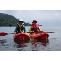 Private Tour: 4-Day Snorkeling and Kayaking Adventure from Whakatane