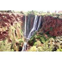 private day trip waterfalls of ouzoud and imi nifri from marrakech