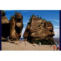 private full day tour to hopewell rocks from saint john