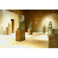 Private Tour: The Nubia Museum