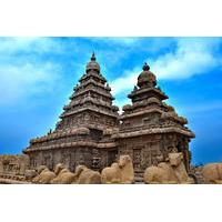 Private Cultural Tour: Day Trip to Mahabalipuram and Dakshinachitra from Chennai