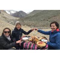 private tour andes mountains with wine tasting from santiago