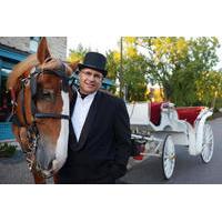 Private Horse-Drawn Carriage Tour of Minneapolis