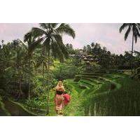 private tour balinese culture and scenery