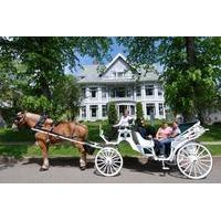princes island tour from istanbul including boat and carriage ride
