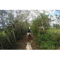 private kiskadee trail horse riding tour of the countryside