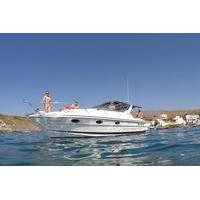 Private Motor Boat Whale Watching Charter in Tenerife