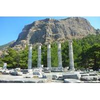 Priene Miletus Didyma Tour with Private Guide