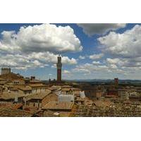 Private Tour: Siena Walking Tour