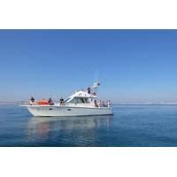 Private Fishing Trips from Vilamoura
