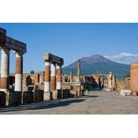 Private Pompeii and Herculaneum Day Tour