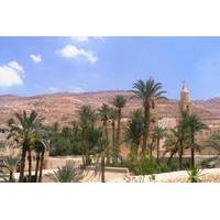 Private Full-Day Red Sea Monasteries Tour from Cairo