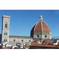 Private Tour: Overview of Florence Walking Tour