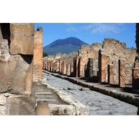 Private Excursion to Pompeii and Mt. Vesuvius from Sorrento