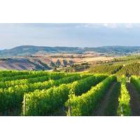 private chianti authentic experience with two delicious wine tastings  ...