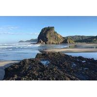 private tour piha and waitakere eco tour with surf lesson from aucklan ...