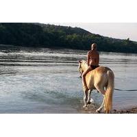 Private Horse Riding near Budapest with Lunch