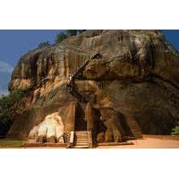 Private Day Trip from Colombo to Sigiriya