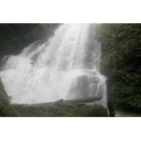 Private Full-Day Doi Inthanon National Park Chiang Mai Including 2-Hour Trekking and Lunch