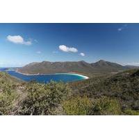 Private Wineglass Bay Day Trip from Hobart