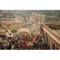 private half day tour of jaipur and the monkey temple