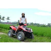 Private Tour: Full-Day Quad Bike Tour with White Water Rafting from Bali