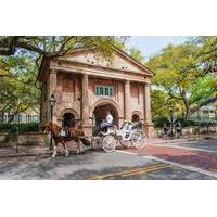 Private Carriage Tour of Historic Charleston