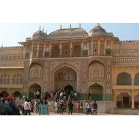 private tour half day jaipur city tour of amber fort with jeep ride