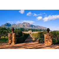 Private Wine Tour of Stellenbosch from Cape Town