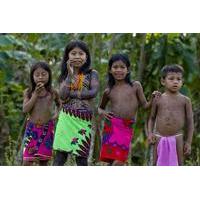 private day trip to embera indian village