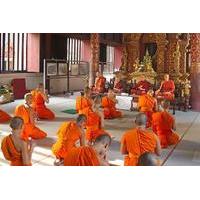 private tour city and temples of chiang mai