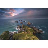 Private Tour: Dunedin to the Cat...