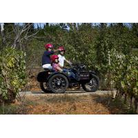 Private Tour: Algarve Wine and Tapas Tour by Sidecar Motorcycle from Portimao