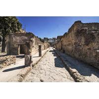 Private Tour: Herculaneum Rail Tour from Sorrento