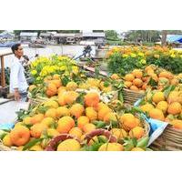 Private Full Day Mekong Delta Tour by Speedboat