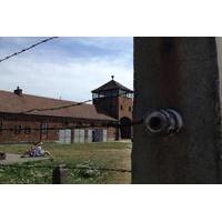 Private Auschwitz-Birkenau and Krakow Tour