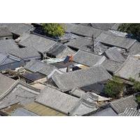 Private Beijing Hutong Walking Tour with Local Family Courtyard Visit