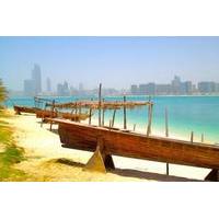 private tour abu dhabi sightseeing with transport from dubai