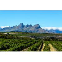 Private Tour: Stellenbosch, Franschhoek and Paarl Wine-Tasting Tour from Cape Town