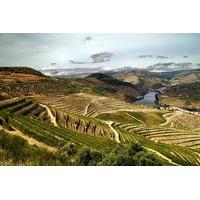 private tour douro vinhateiro from porto with wine tasting