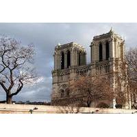 Private Paris Half Day Audio Pen City Tour and Sightseeing Cruise