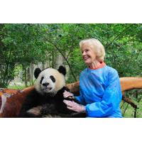 private one day panda volunteer work at chengdu giant panda breeding r ...