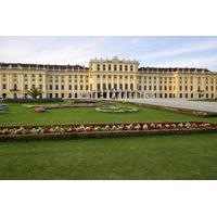 Private Vienna City Tour with Schonbrunn Palace Visit and Lunch