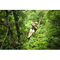 Private Belize City Adventure: Zipline Tour at Jaguar Paw and Crystal Cave Tubing