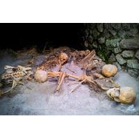 Private Herculaneum Walking Tour