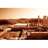 Private Full Day Tour Madaba Mount Nebo and Mukawir from Dead Sea