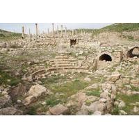 Private Full Day Tour to the Best Preserved Roman Ruins of Jordan Umm Qais Pella and Jerash from Amman