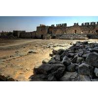 Private Full Day Islamic Castles of Jordan Desert Castles and Ajloun Castle from Amman