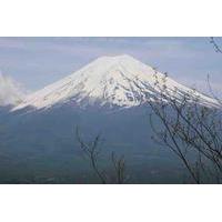 Private 1-Day Experience Mt. Fuji Tour including Kachi Kachi Yama Ropeway